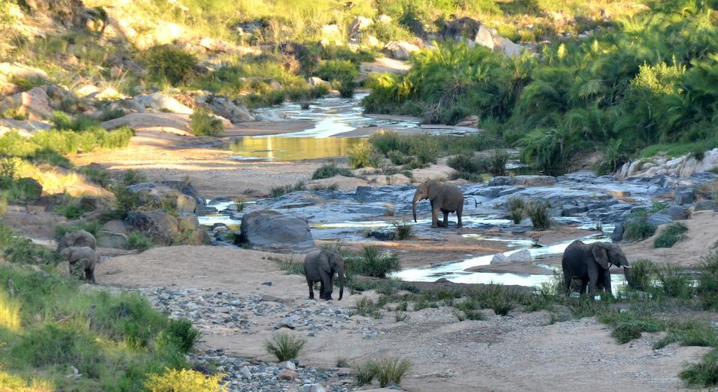 Greenfire Game Lodge Заповедник Балуле Экстерьер фото